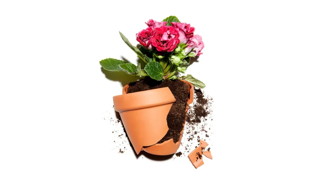 سلامت روان در محیط کار