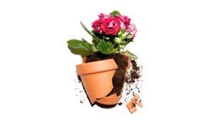 سلامت روان در محیط کار