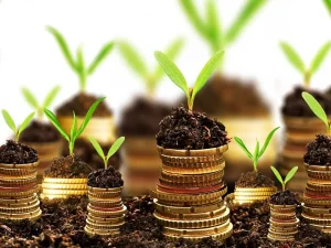 سودآور ساختن پایداری